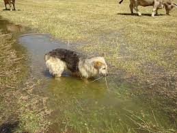 Re: Más embalses!!!